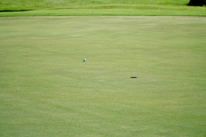 How to Improve Your Putting Game as a Beginner (Without Buying a Pro’s Putter)
